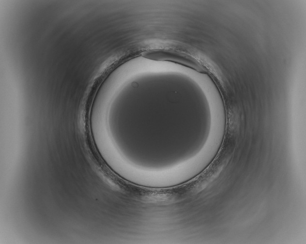 X0000111020581200907310933