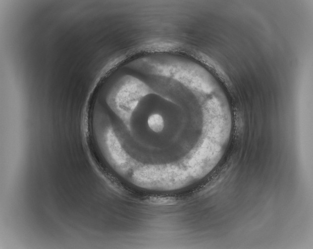 X0000111020582200907310933