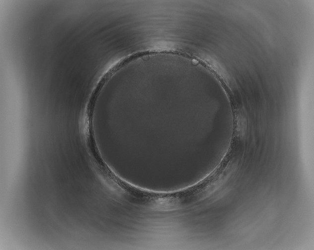 X0000111020584200907310933
