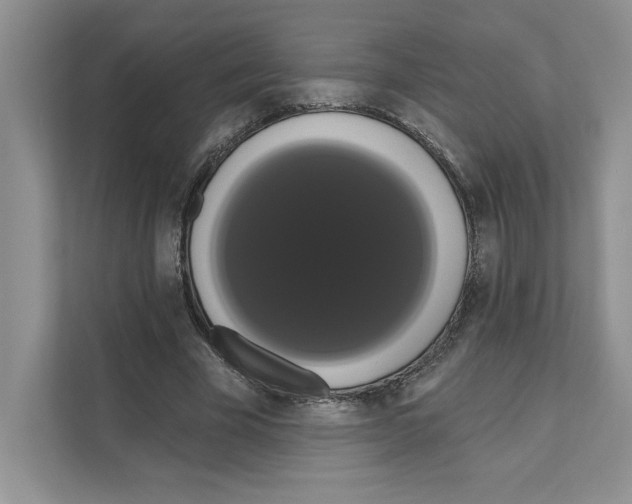 X0000111020585200907310933