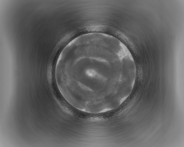 X0000111020586200907310933