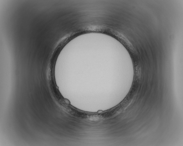X0000111020587200907310933