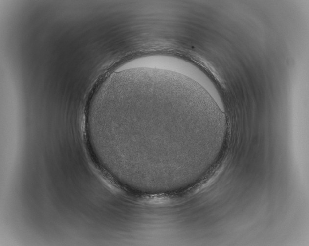X0000111020589200907310933