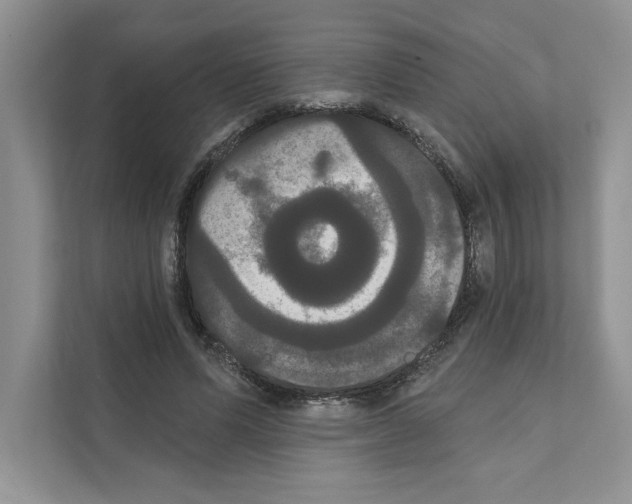 X0000111020591200907310933