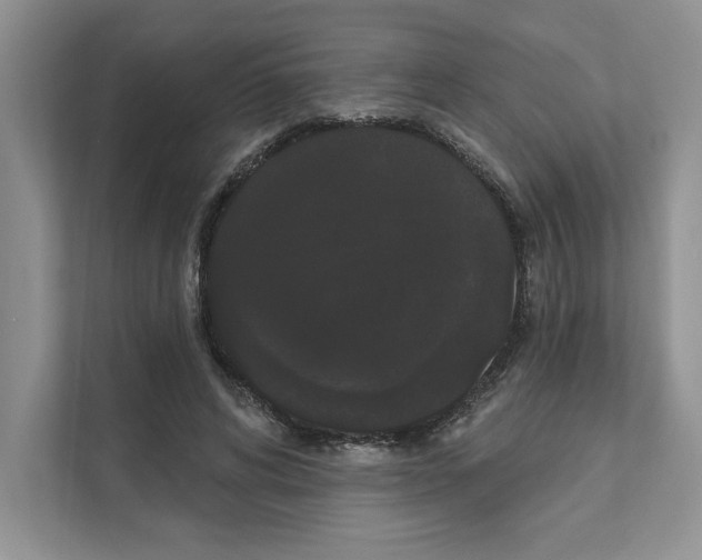 X0000111020592200907310933