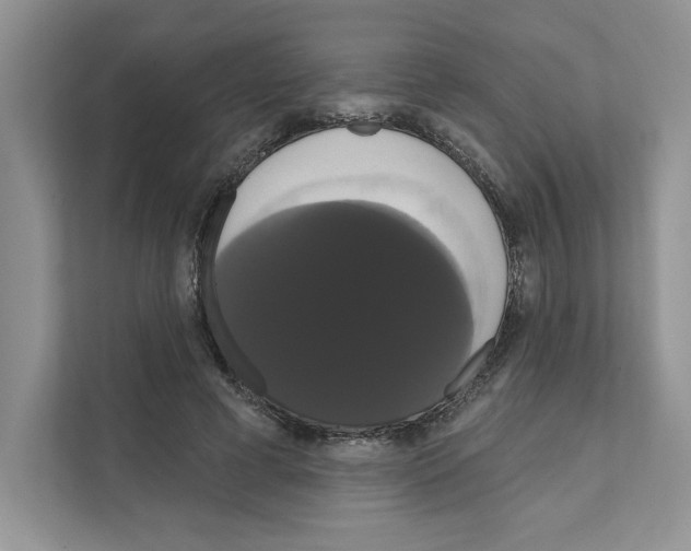 X0000111020593200907310933