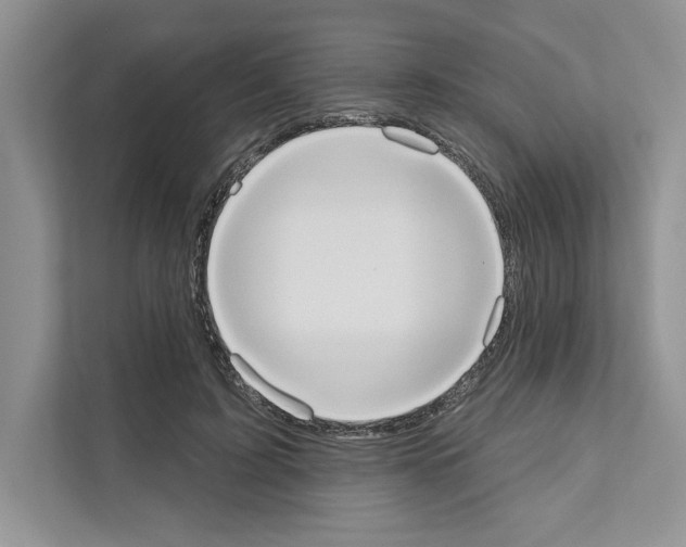 X0000111020595200907310933
