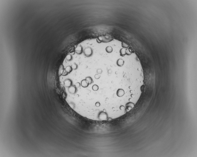 X0000111020599200907310933