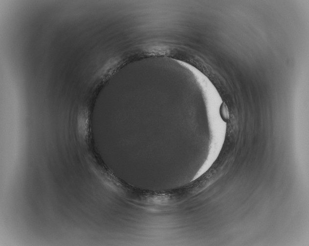 X0000111020600200907310933
