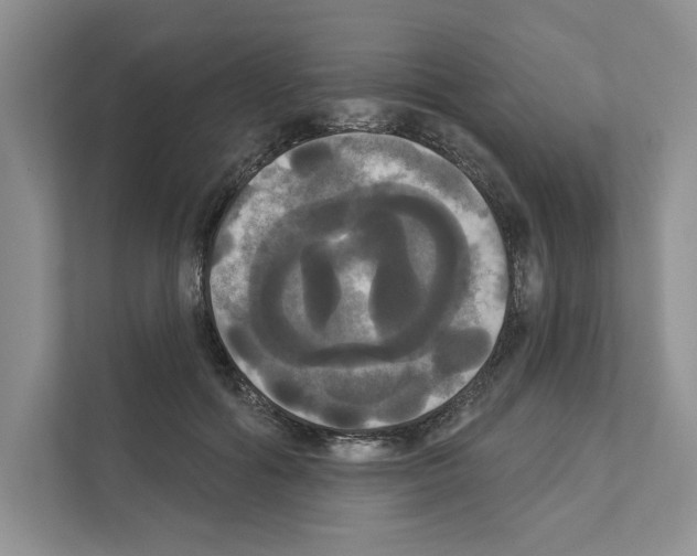 X0000111020602200907310933