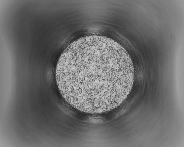 X0000111020603200907310933