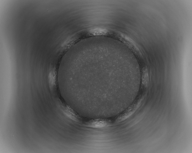 X0000111020604200907310933
