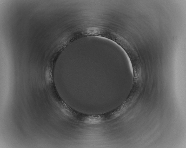 X0000111020606200907310933