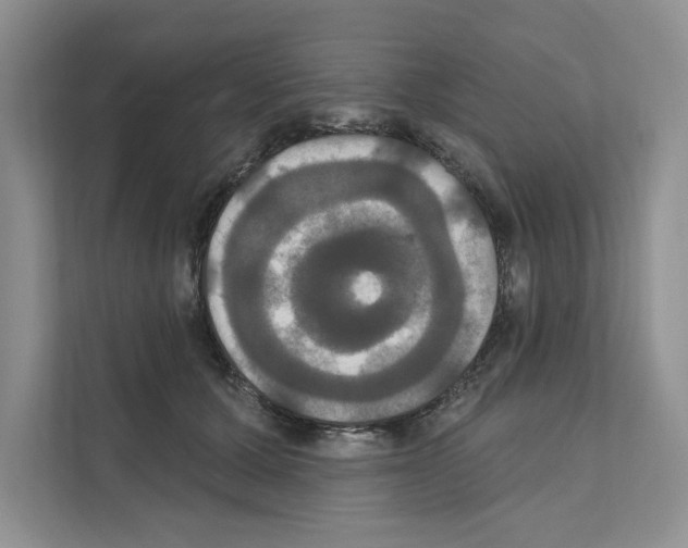 X0000111020607200907310933