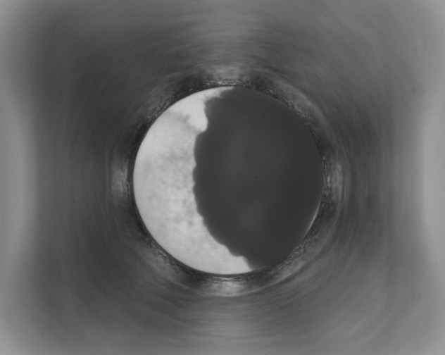 X0000111020610200907310933