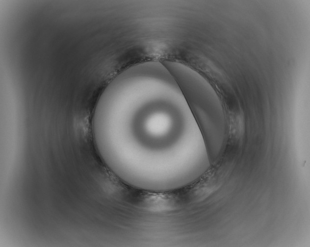 X0000111020611200907310933