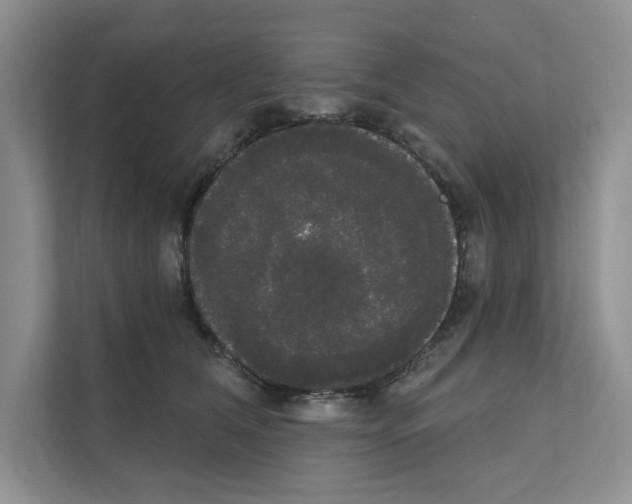 X0000111020612200907310933