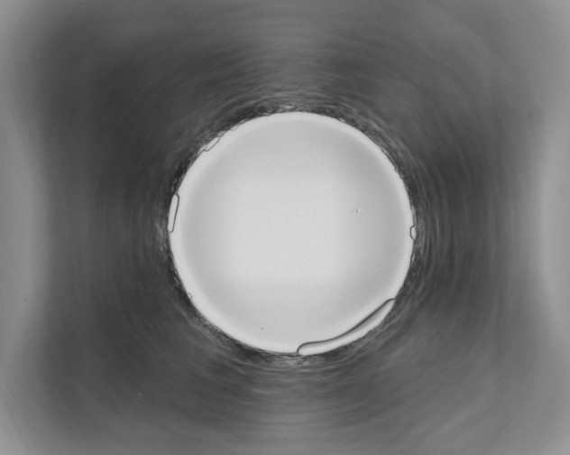 X0000111020613200907310933