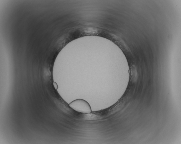 X0000111020614200907310933