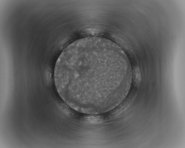 X0000111020615200907310933
