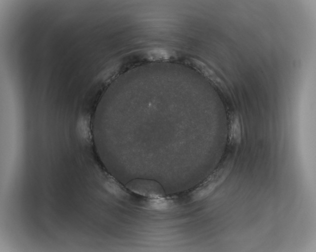 X0000111020616200907310933