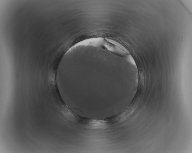 X0000111020617200907310933