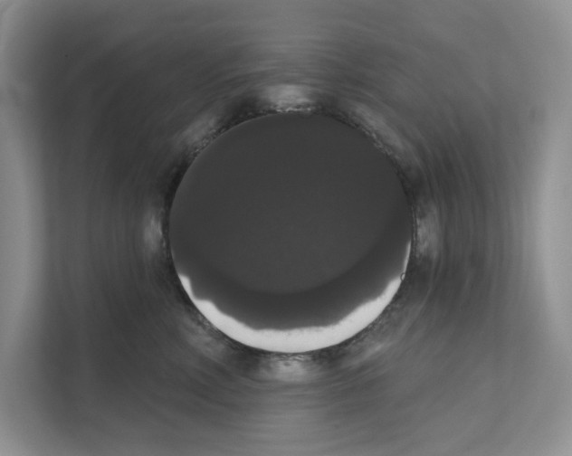 X0000111020618200907310933