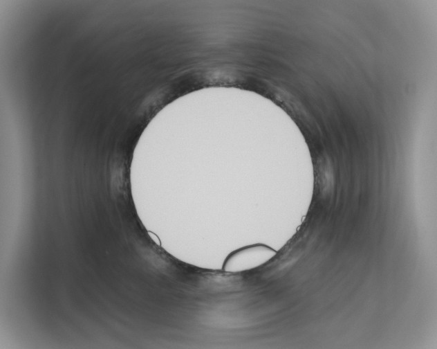 X0000111020619200907310933