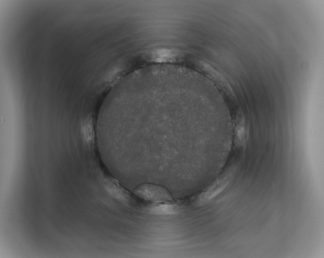 X0000111020620200907310933