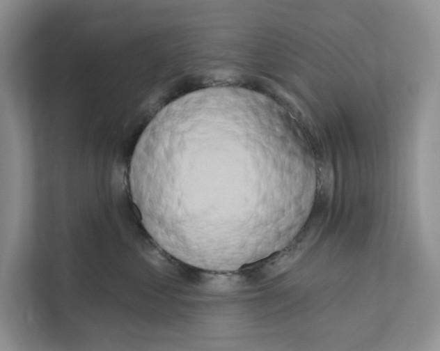 X0000111020621200907310933