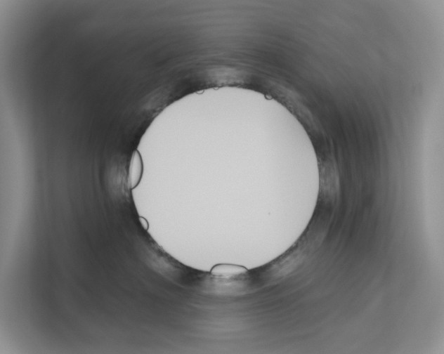 X0000111020622200907310933