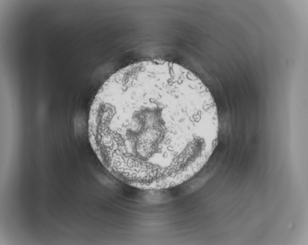 X0000111020623200907310933