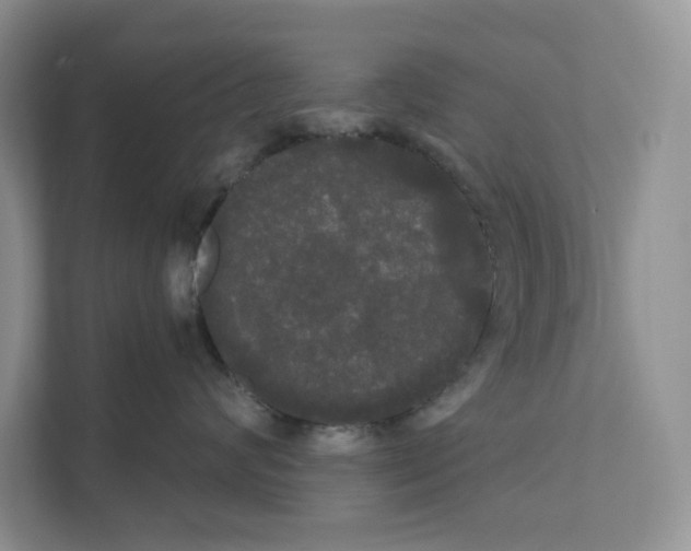 X0000111020624200907310933
