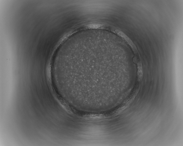 X0000111020626200907310932