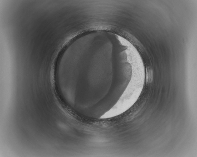 X0000111020627200907310932