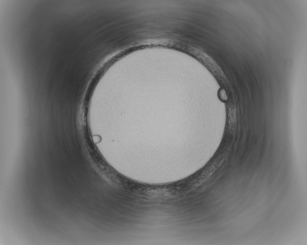 X0000111020628200907310932