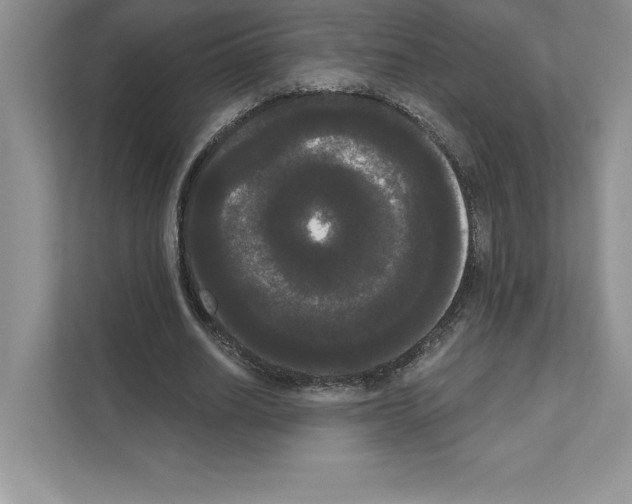 X0000111020630200907310932