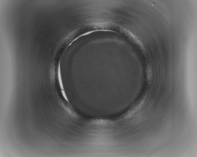 X0000111020637200907310932