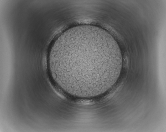 X0000111020638200907310932
