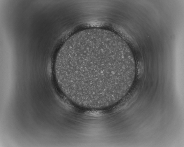 X0000111020639200907310932