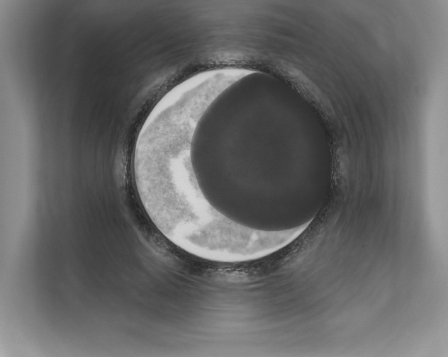 X0000111020640200907310932