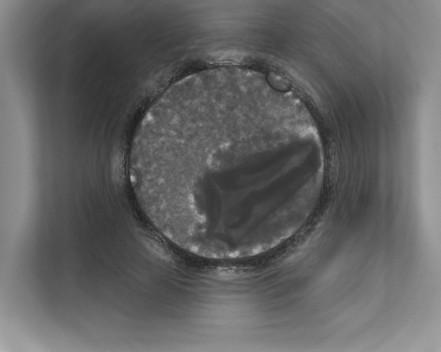 X0000111020641200907310932