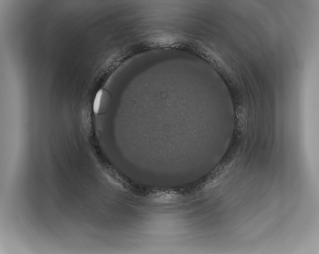X0000111020642200907310932