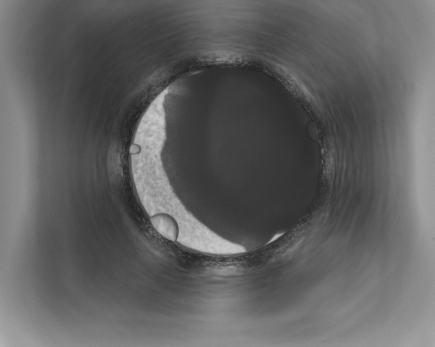 X0000111020643200907310932