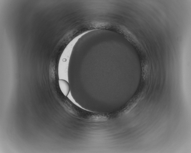 X0000111020644200907310932