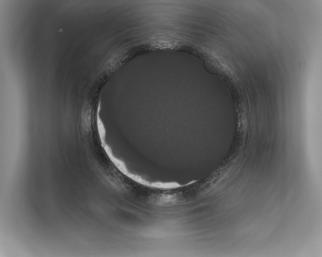 X0000111020647200907310932