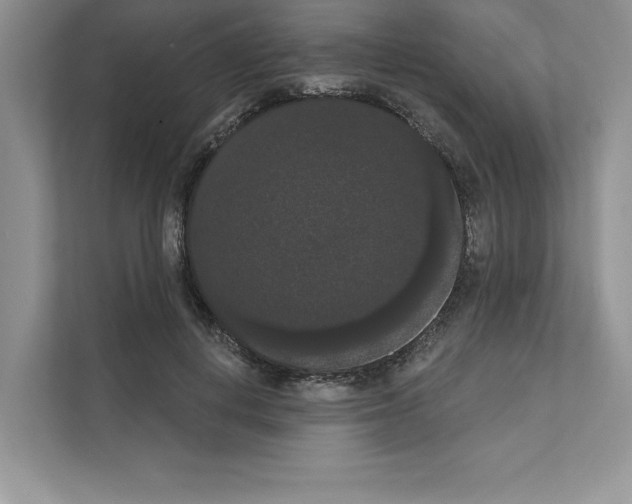 X0000111020648200907310932