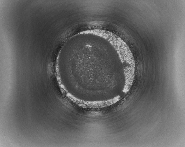 X0000111020649200907310932
