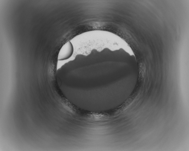 X0000111020650200907310933