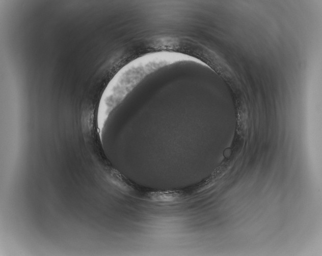 X0000111020652200907310933